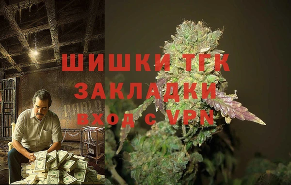 Альфа ПВП Белокуриха