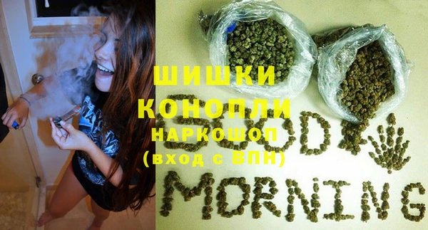 Альфа ПВП Белокуриха