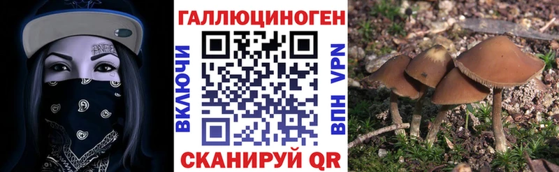 Псилоцибиновые грибы GOLDEN TEACHER  Ильский 